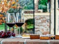 Agriturismo Il Piaggione 
