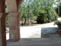Tenuta Il Grifo 