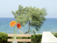 Residence Frontemare Torre Suda 