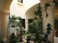Palazzo Franza Musaro 