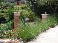 Rustico Donamini 