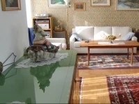Casa SerGina 