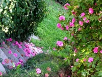 B&B Cascina Belsito 