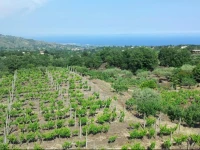 B&B Azienda Natura 