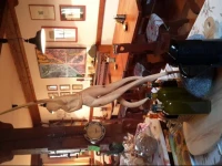 Agriturismo Artenatura 