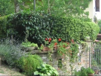 Affittacamere Poggio Fiorito 