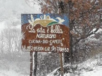 Agriturismo La Vita e Bella 