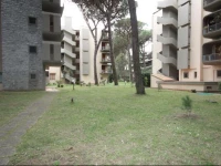 Lagomare 