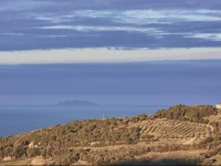 Agriturismo Alberelli 