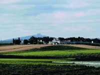 Terre di Traiano 