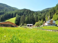 Steinwandterhof 