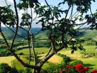 B&B Il Borgo Sulla Collina 