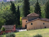 Fattoria dellOrto degli Ulivi 