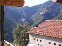 Zia Mari 