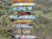 Casale MilleSoli 