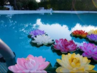 Villa Angela Luxury Country Suites 
