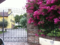 Agriturismo Corte Capiluppia 