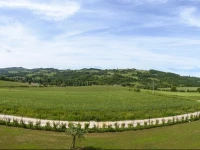 Agriturismo Querceto 