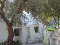 Trullo degli Ulivi 