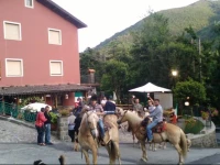 Affittacamere Ciuti 