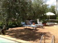 Casa Vacanze in Geggiano 
