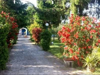 Villa Glori 