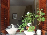 Cortile Gentile 