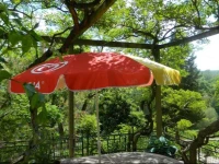 B&B Casa Girasole 
