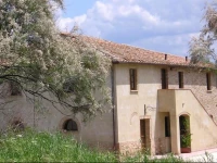 Pelagaccio 