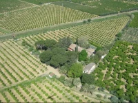 Masseria Brica Rossa 
