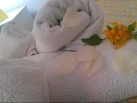 Amoru Bed & Breakfast 