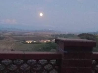 La Casa Del Glicine 