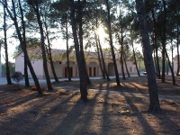 Agriturismo Agrifoglio 