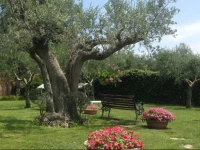 Villa Vetiche 
