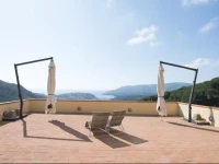 La Mandolaia 