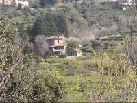 Agriturismo Luce 