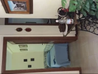 Casa nel verde 