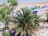 Hotel Dinarica 
