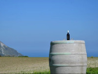 Agriturismo Conero