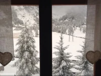 Il Pino B&B 