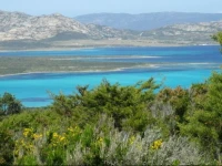 Case Vacanza Cala Lupo 