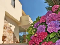 Villa Neptunia 
