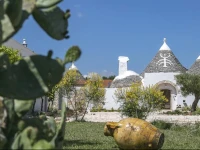 Casette Scorso Masseria a Trullo dominante 
