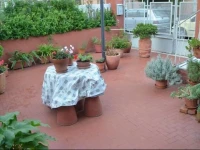 Appartamento Papillon 