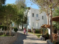 Rexene Resort 4*