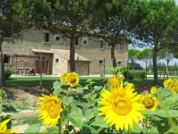 Terra di Cortona 