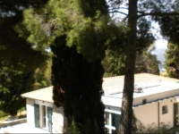 Villa Alpicella 
