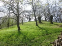 Agriturismo Podere Roccone 