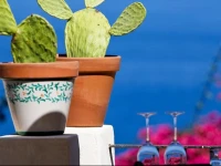 Hotel La Locanda Del Postino 4*