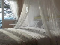 B&B Le Camelie del Bosco 